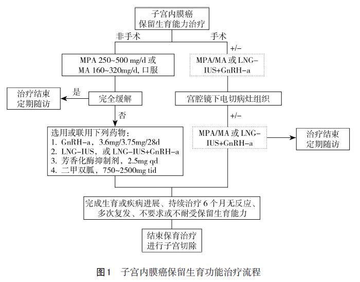 年轻子宫内膜癌患者保留生育能力治疗的思考