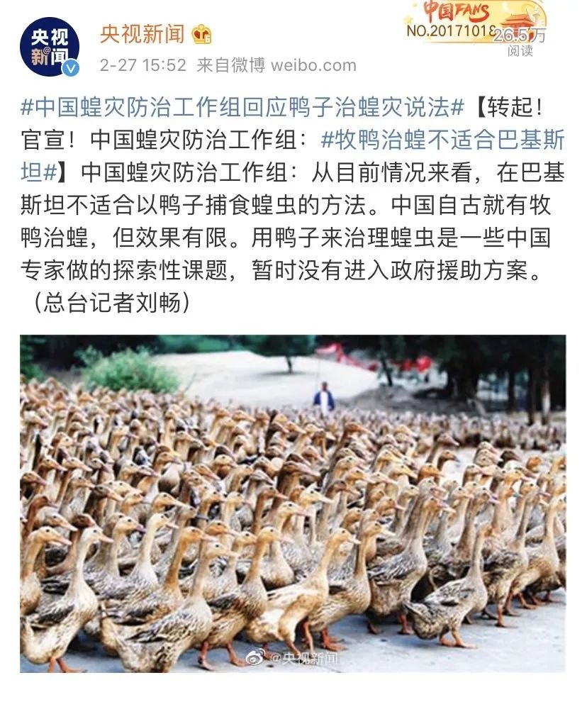 今天(2月27日)15:52,央视新闻发微博称,中国蝗灾防治工作组:牧鸭治蝗