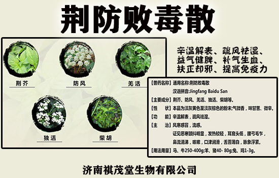 跟黄帝内经学养猪技术春季养猪用荆防败毒散健胃消食的复方组合益处多