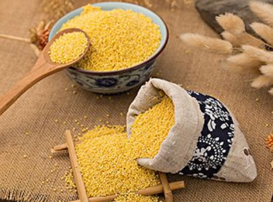 吃什么东西能养脾 8e5ea913a080489c98353cf87916d0ca.png