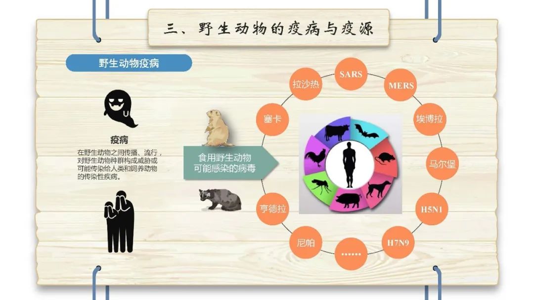 科普野生动物疫源疫病防控知识手册