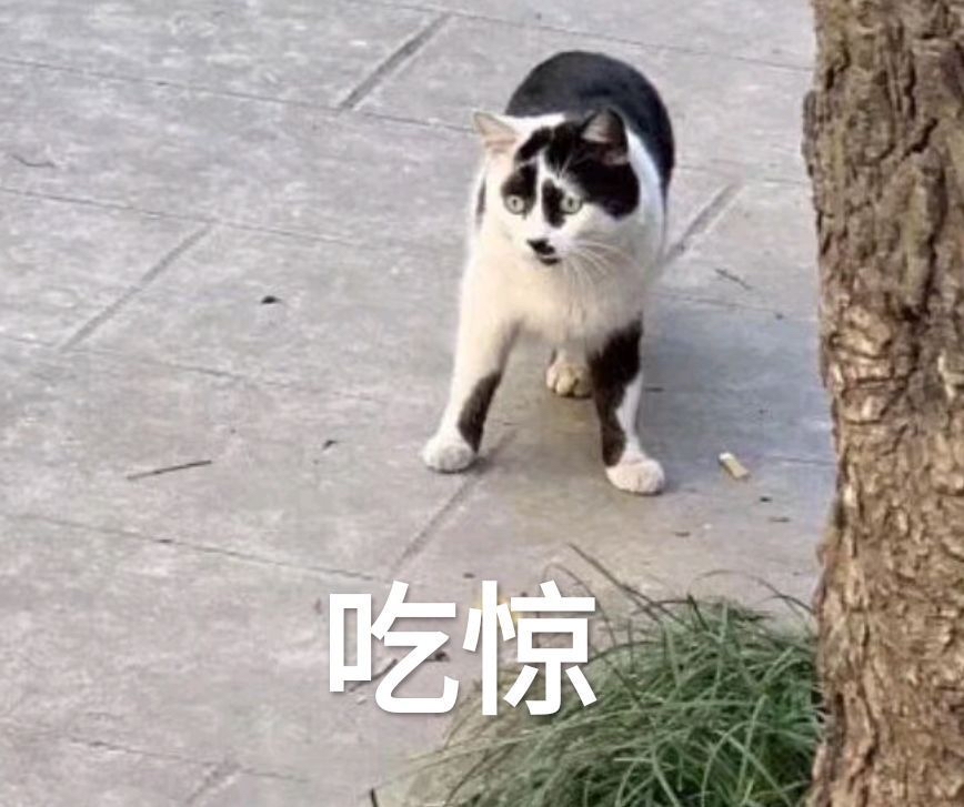 什么玩意,"嗖"一下子