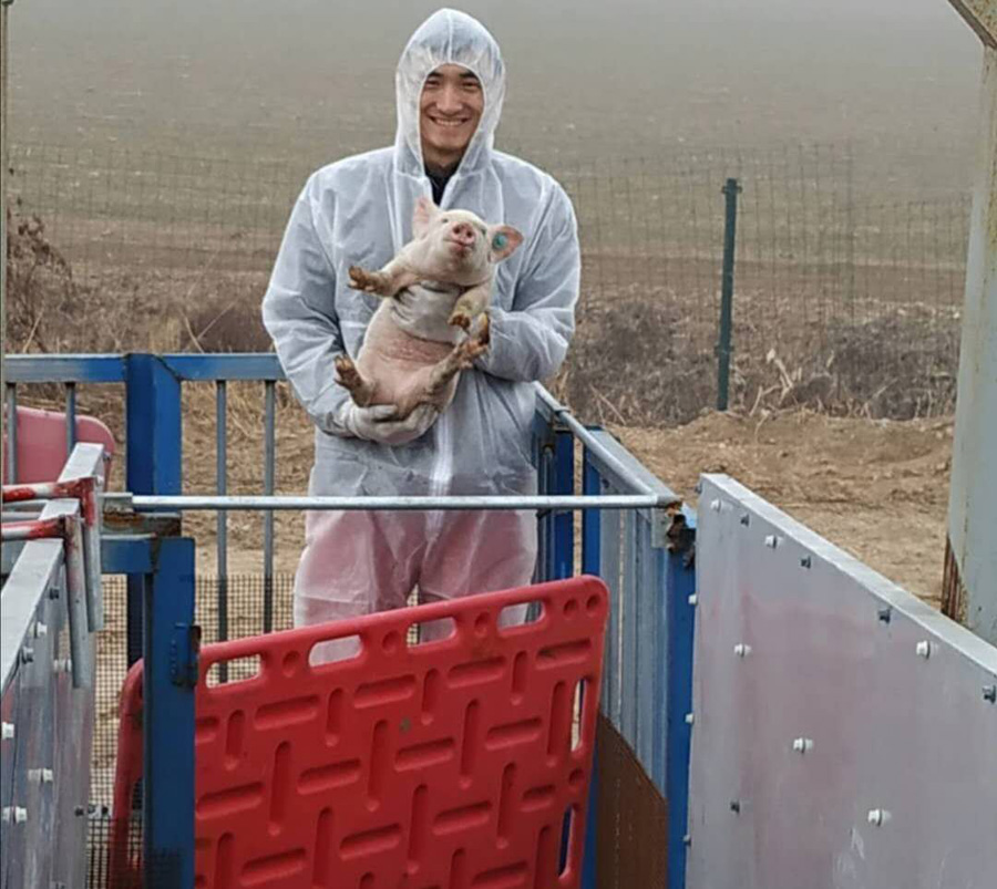 90后养猪场场长：防控非瘟为防控新冠提供经验