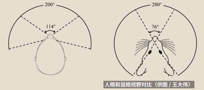 什么无睹成语_成语故事图片(3)