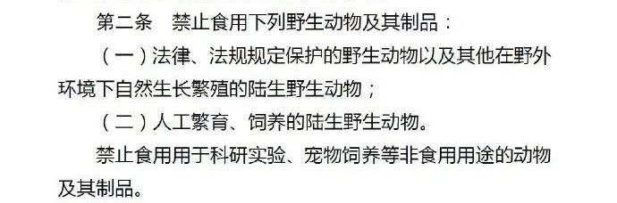 重磅！人民网：深圳或将禁食猫狗，违者可能被判违法！