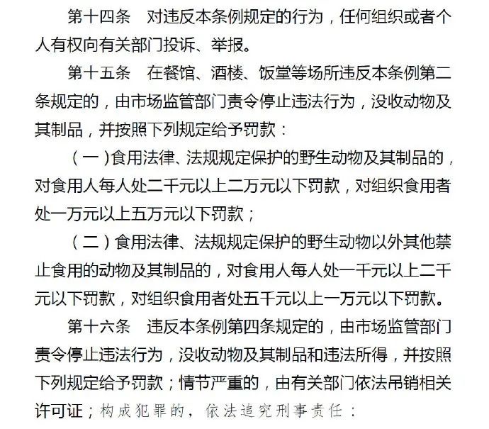 重磅！人民网：深圳或将禁食猫狗，违者可能被判违法！
