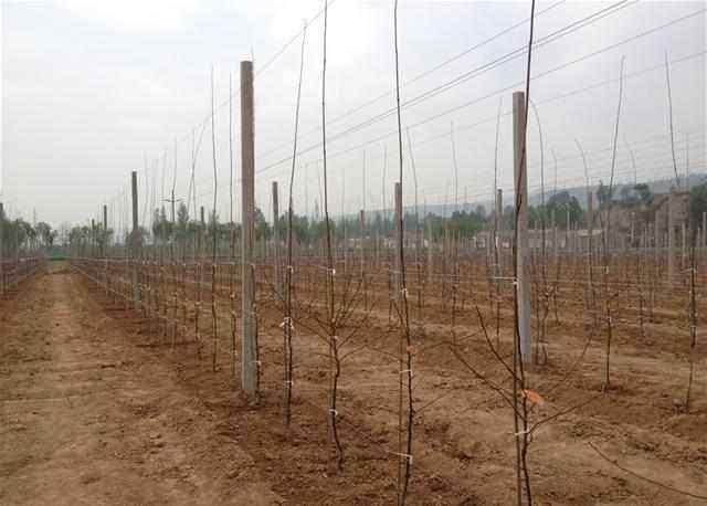 d080efd76cfd4a09bf870195bf7253bf.jpeg