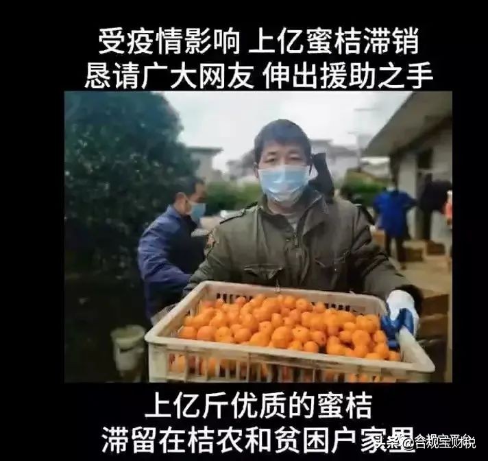 别让南丰蜜桔烂在地里,合规宝邀你一起助农战"疫"!