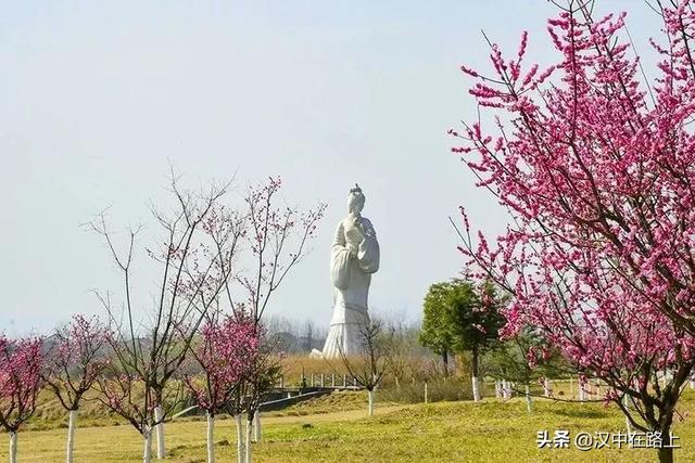 桃花竹子树是什么成语_这是什么成语看图(3)