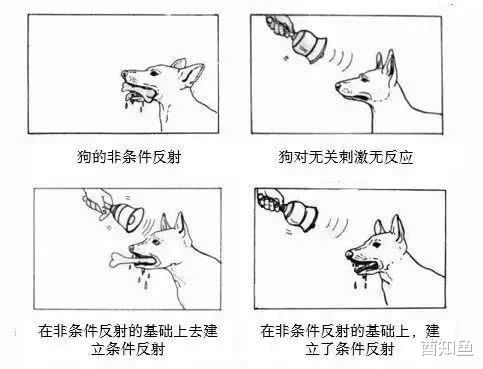 虐狗狂人巴甫洛夫曾用亲弟弟做实验为科学付出了血的牺牲