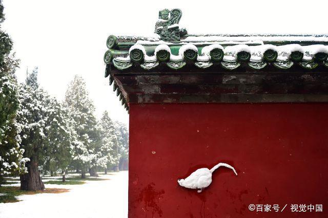 北京:天坛公园雪景美如画 红墙"雪鼠"萌态十足