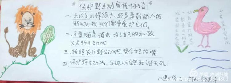 保护野生动物,八堡学子这样做