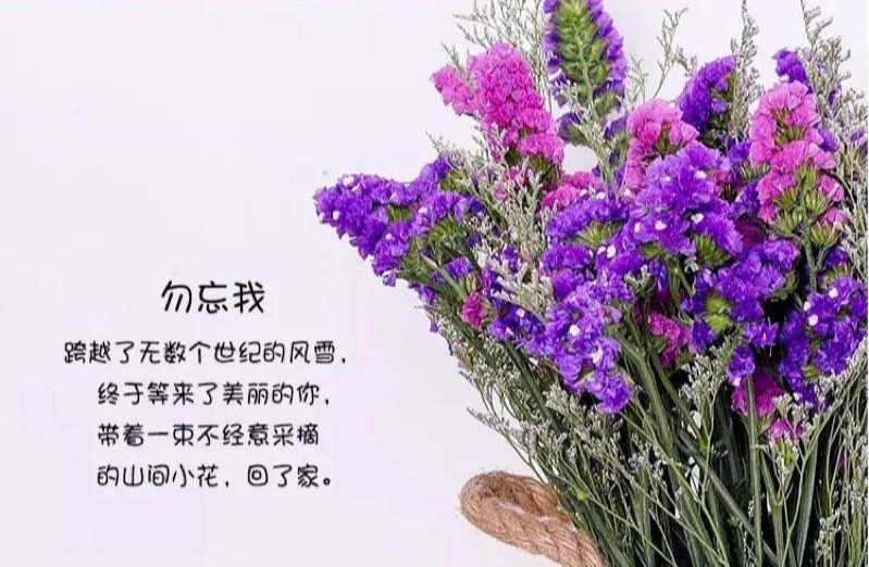 而且勿忘我本身就没有什么香味 花语是:"永恒的爱,永远的回忆" 女神