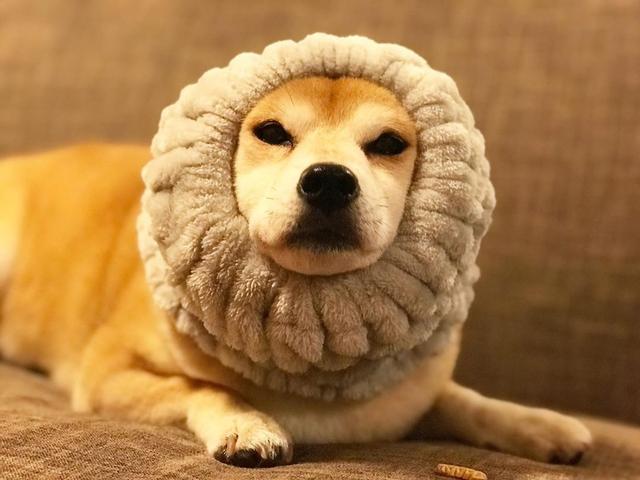 0e66e405e51248dc9558e0d9e3eb01f3.jpeg