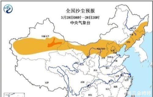 沙集多少人口_博社村人口多少