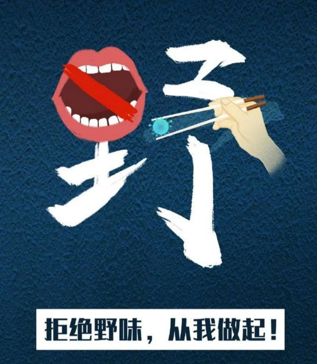敬畏生命,拒绝野味 ——历元学校二(2)中队红领巾在行动