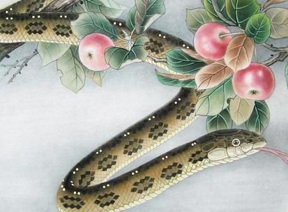 蛇属相的宝宝 2d122b57b7ae4d8bbe32e6d7b988551d.jpeg