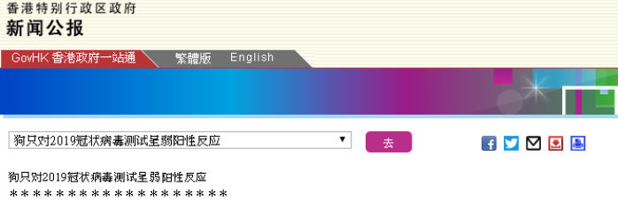 香港檢測寵物狗現新冠弱陽性，李蘭娟曾提醒要防備 寵物 第1張