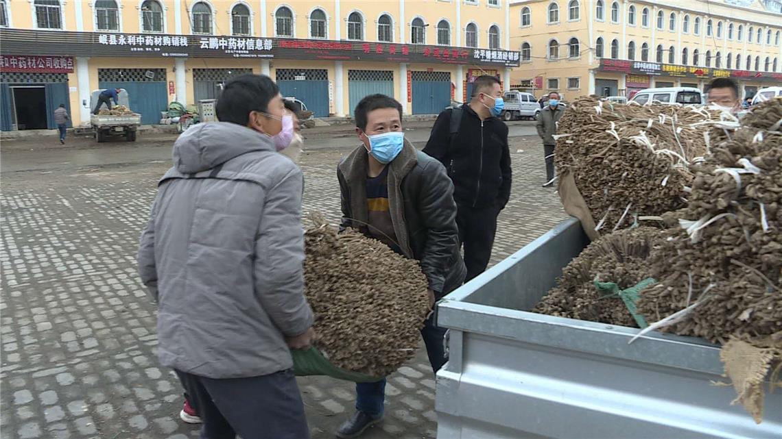 中国当归城中药材交易复市首日交易额达500万元