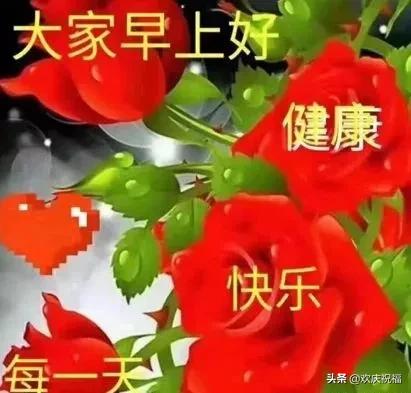 朋友圈问候大家早安漂亮祝福带字图片,每天问候朋友的