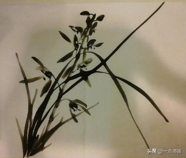 国画教程兰花蕙的写意画法