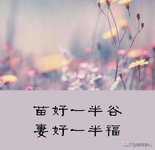 风不吹树不动处处不静曲谱_心不动则不痛的图片(3)