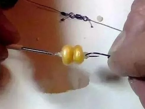 【钓鱼技巧】钓大鱼的挂钩方法,玉米粒我们一直没用对