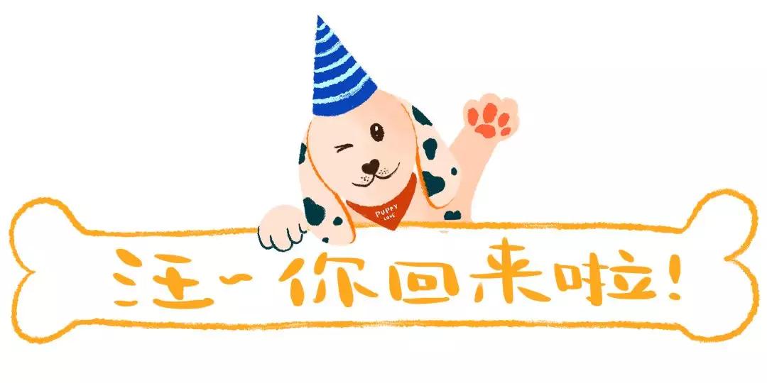 「愛犬離世一年後，又回來找我了！」 寵物 第1張