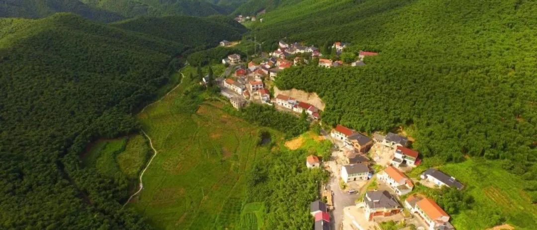 罗窑坞游步道坐落于百丈镇溪口村,一路石阶古山道,沿路溪水不停地流淌