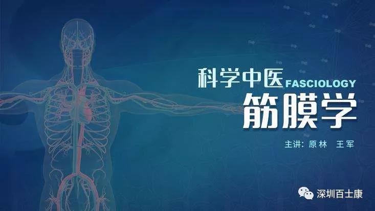 科学中医筋膜学原林讲筋膜