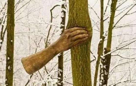 全球最「頑強」的手，50年來都緊握一棵樹，網友：就像融合在一起 寵物 第3張