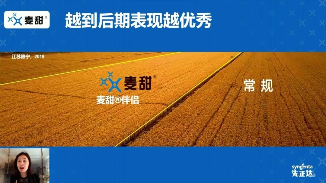 超硬核先正达全新专利杀菌剂麦甜03重磅上市小麦赤霉病防控迎来最强