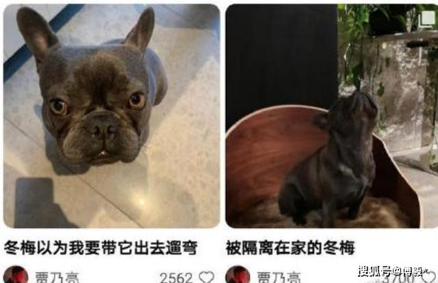 李小璐晒和女儿的睡前仪式，甜馨对镜头自拍，