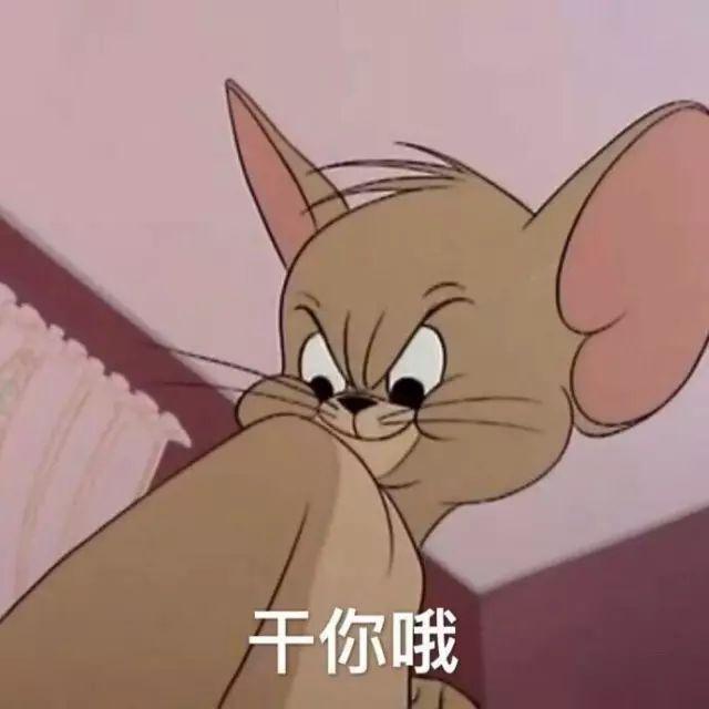 汤姆表情包|和你:都是第一次做人,凭什么我这么美?