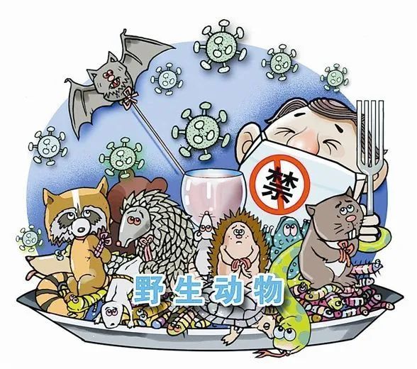 如何革除滥食野生动物陋习?