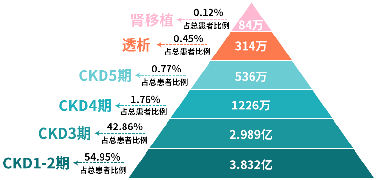 现在全世界人口处于什么期_从你的全世界路过图片