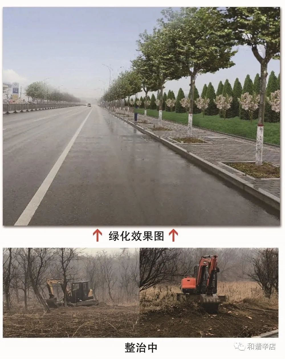 辛店街道人口_辛店街道办徐庆堂(3)