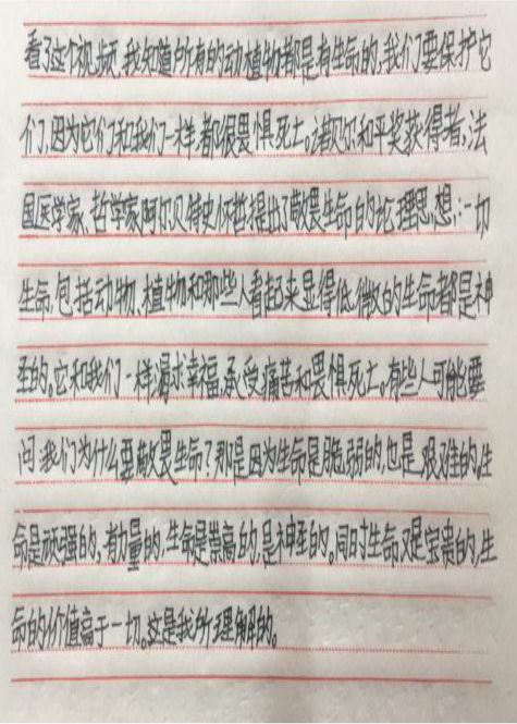 感知成长的神奇简谱_小星星简谱(2)