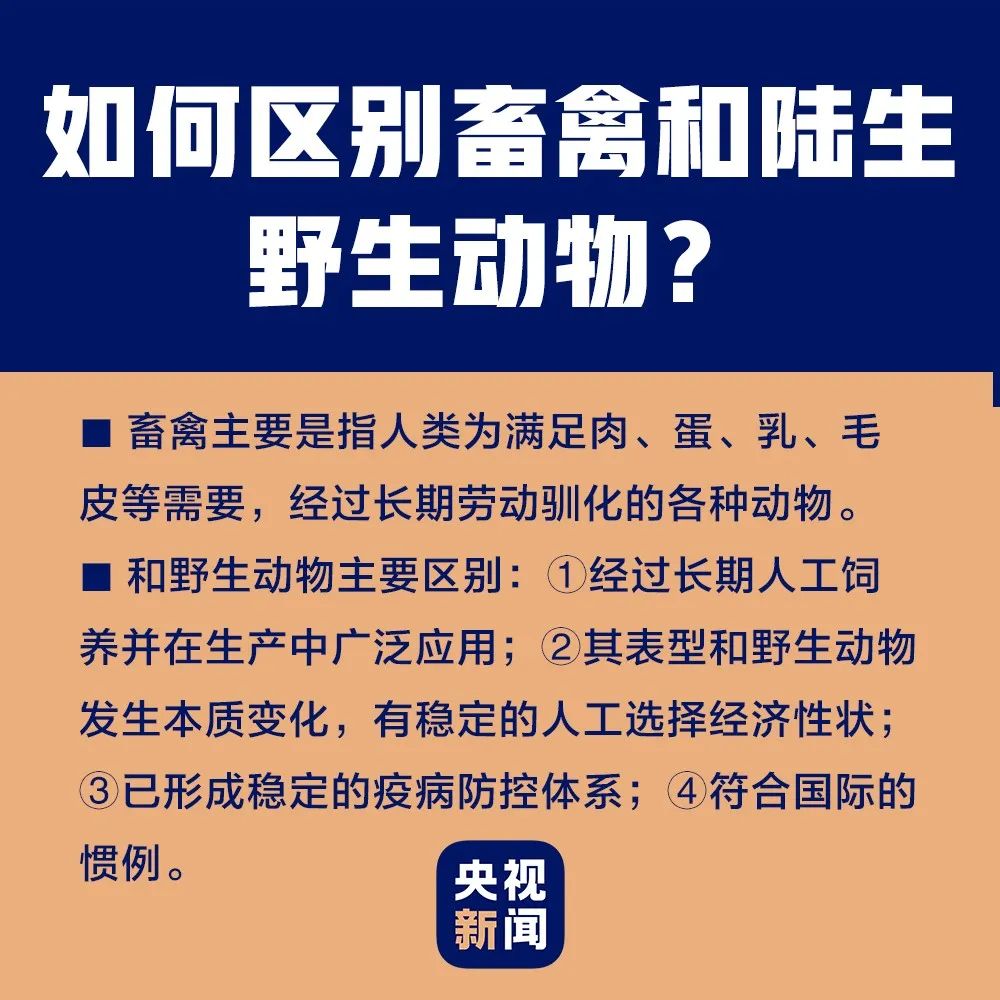 自愿买卖人口为什么犯法_为什么图片(3)