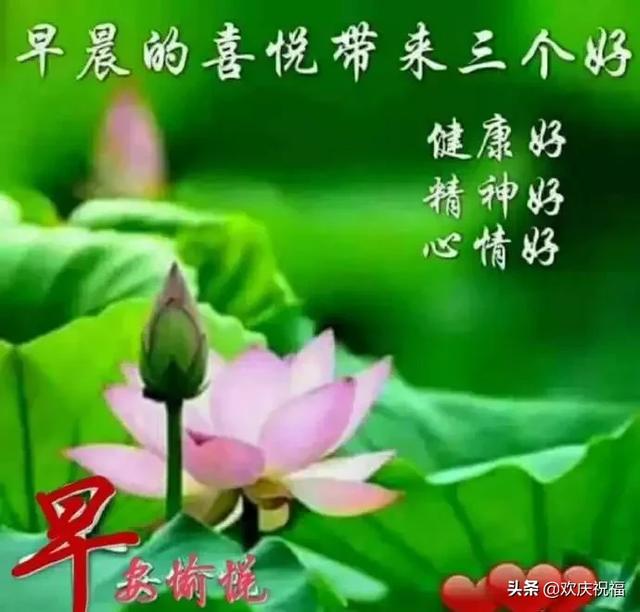 朋友圈问候大家早安漂亮祝福带字图片,每天问候朋友的