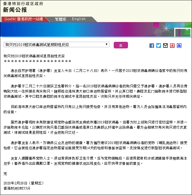 香港確診患者寵物狗測出弱陽性反應 寵物 第1張