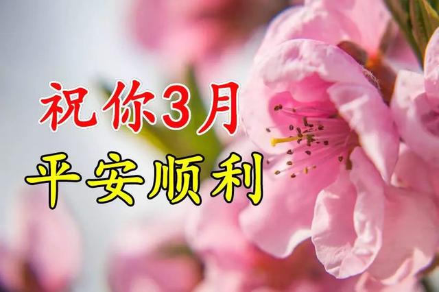 2月最后一天把最美的祝福送给我最在乎的朋友,祝你3月