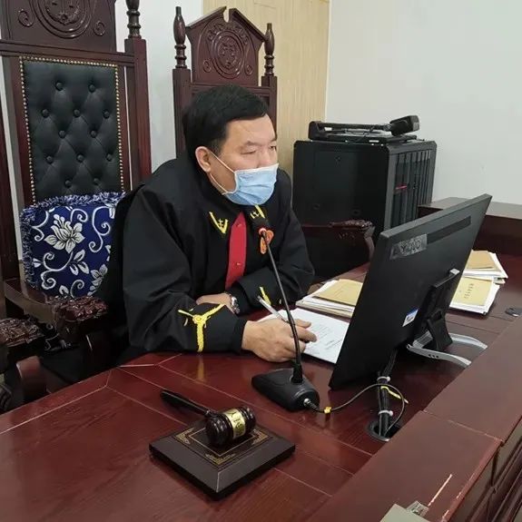 非法猎捕交易野生鸟类，长春一被告人被判两年