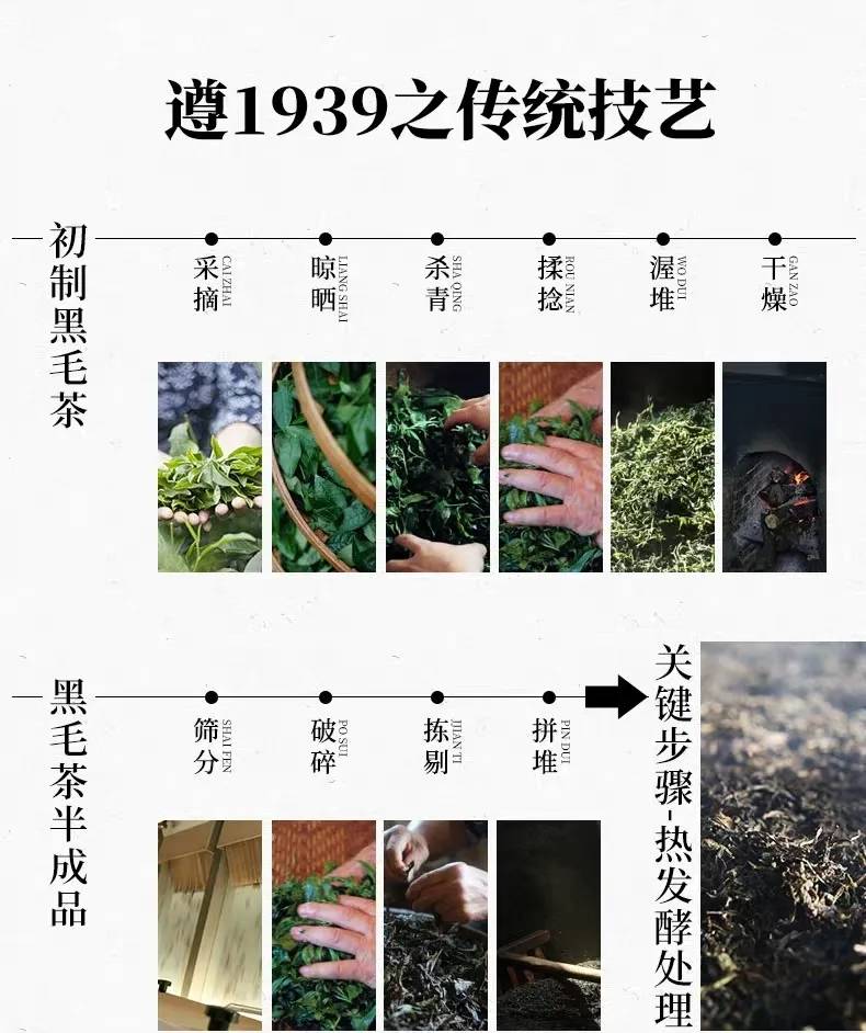 茶知识安化黑茶独特品质的成因