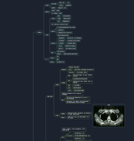 影像学呼吸系统示例-超详尽版本思维导图的建立,应当基于个人的习惯