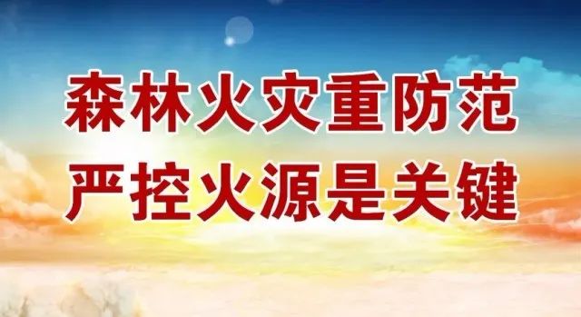 【森林防火】违反《禁火令》野外用火 上护镇一人被行政处罚