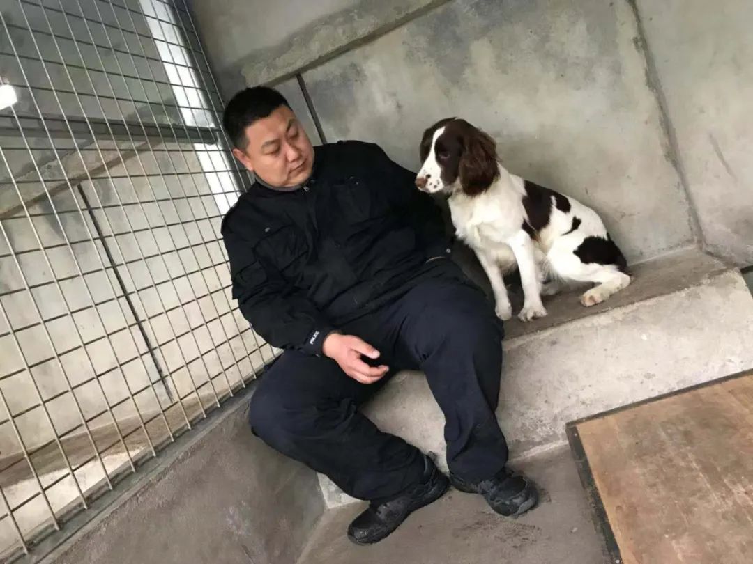 新犬报道济南关区第一只缉毒犬和和