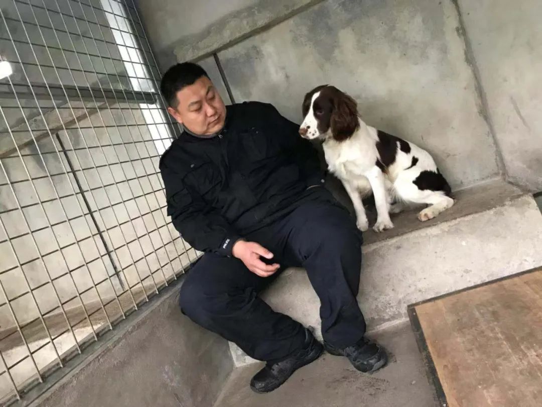 新犬报道 | 济南关区第一只 "缉毒犬"和和