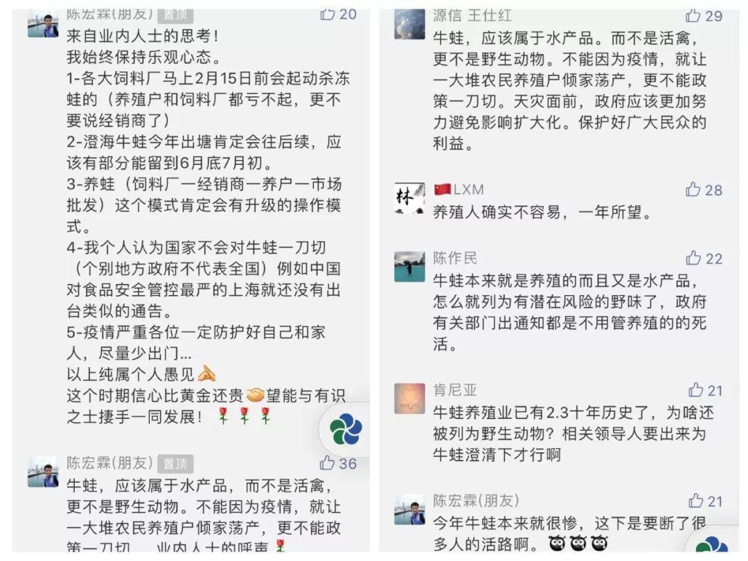 养蛇致富女蛇毒44亿_致富经养蛇_致富经养肉蛇