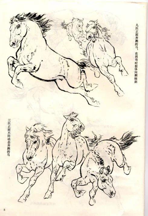 刘继卣画马技法《动物画资料》人民美术1977年版